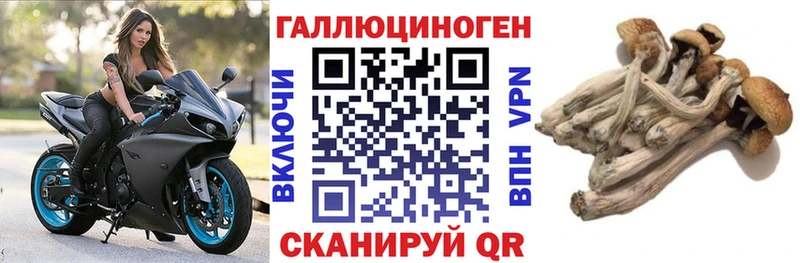 Псилоцибиновые грибы Magic Shrooms Городец