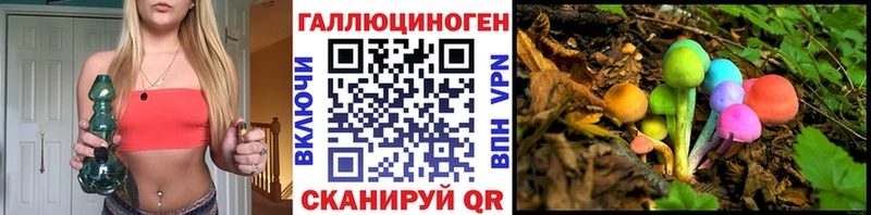 магазин продажи наркотиков  Городец  Галлюциногенные грибы Magic Shrooms 