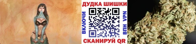 KRAKEN сайт  Городец  Канабис OG Kush 